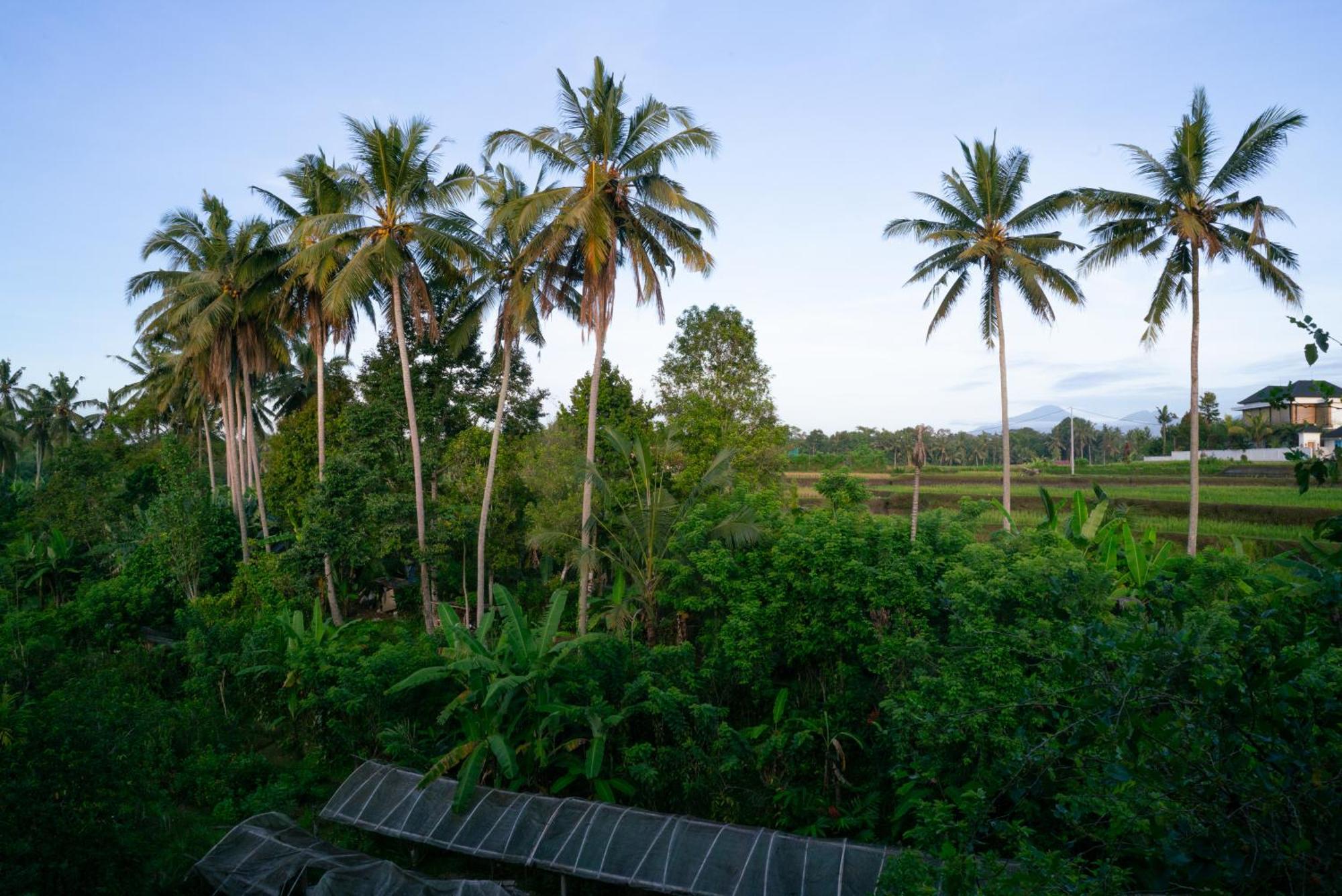 Karang Lila Bhuana Ubud 外观 照片